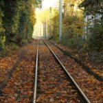Autumn track