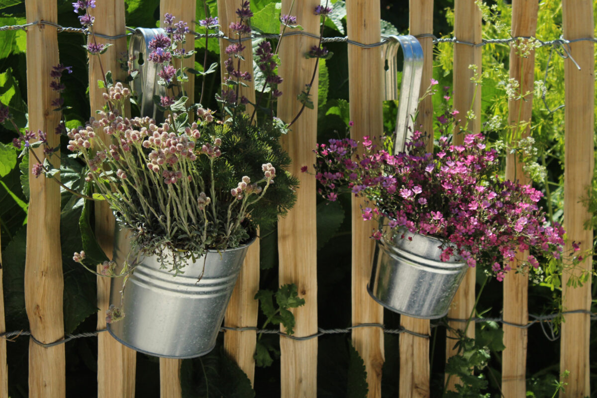 Flowers in metal pots