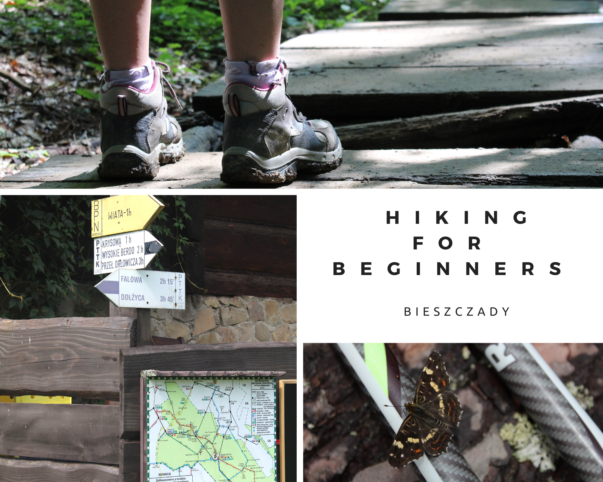 Bieszczady- hiking trails