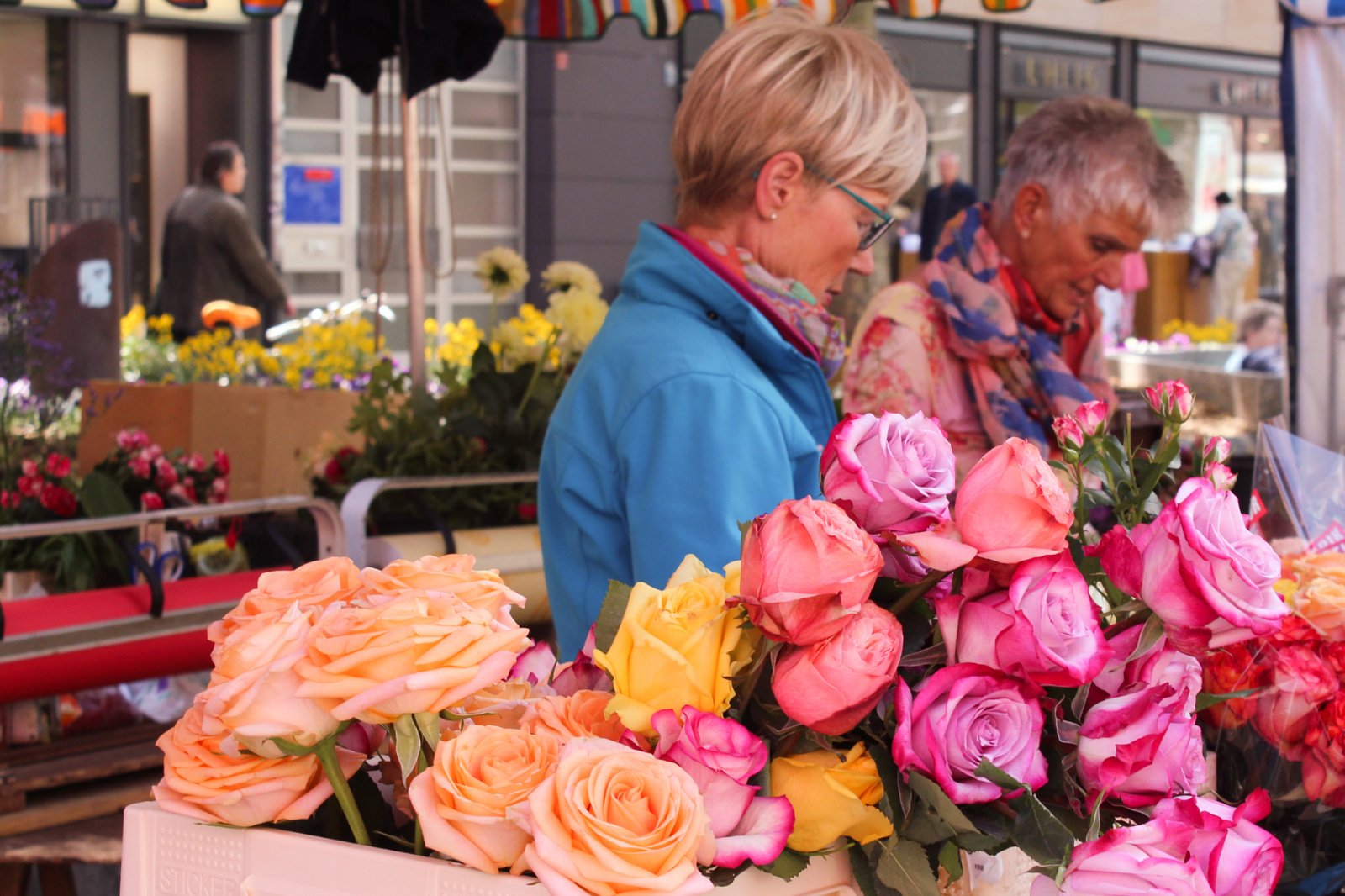 Mainz the pink queen of the Rhine mcipinska Fairy Trails